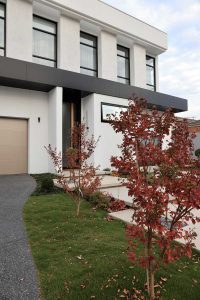 Home Renovation Bentleigh